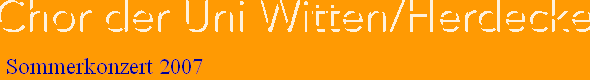 Sommerkonzert 2007
